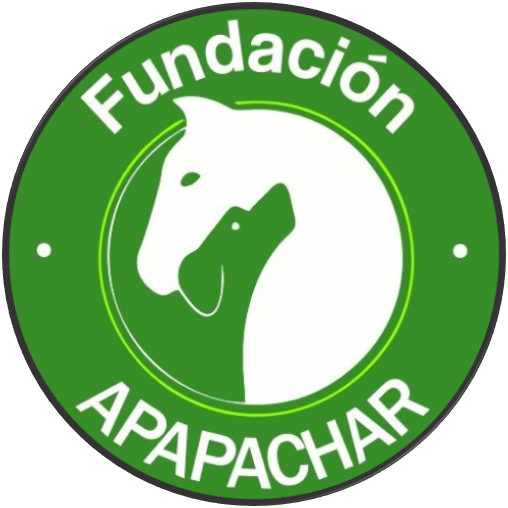 Fundacion_Apapachar